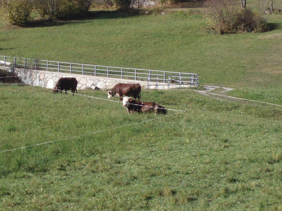 Agriturismo Plan D'Avie Aosta Bagian luar foto
